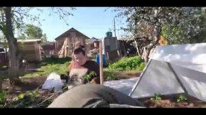 Анти@куча... Дмитрий Зонов_Сама садик я садила...