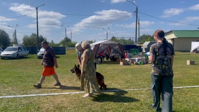 РАБОЧИЙ СУКИ ДШ / КЧК КОТЛАС 26 июля`25 А.Буйнова Моно немецких овчарок