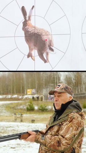 Ошибки охотников. Как правильно стрелять в зайца.  Охота на зайца