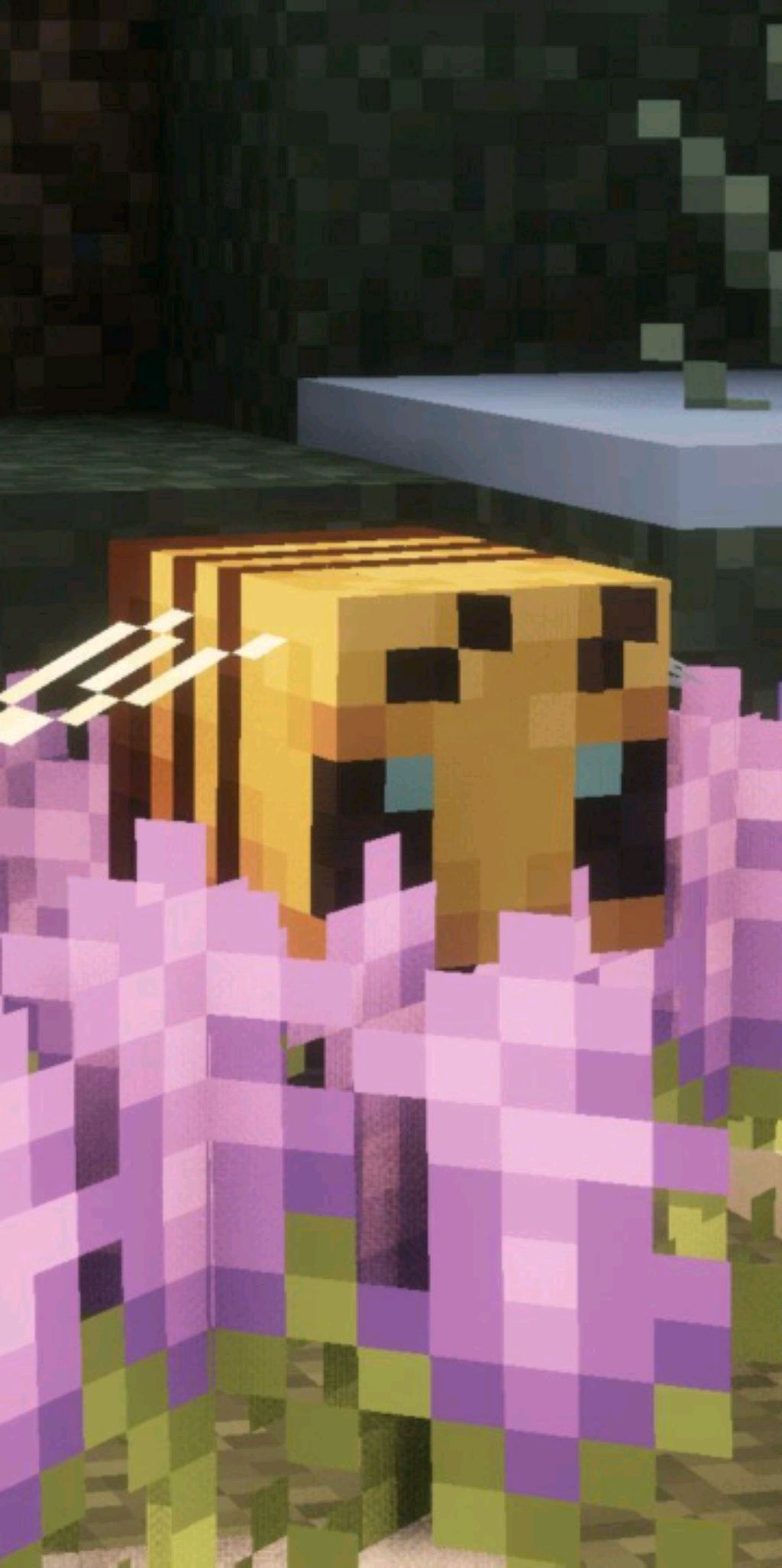 играем в рб