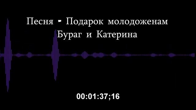 Подарок молодоженам Бураг и Катерина смотреть онлайн