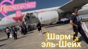 Удачная посадка в Египте. Авиакомпания Red Wings. Заселяемся в 🏨 отель. Showroom номера.