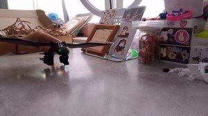 Как приручить дракона в скрытом мире