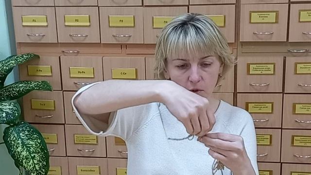 Тверской козёл