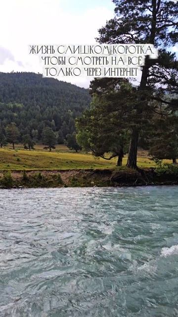 жизнь коротка #аксаут #life #кчр #travelvlog