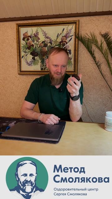 Полынь для приёма внутрь смотреть онлайн