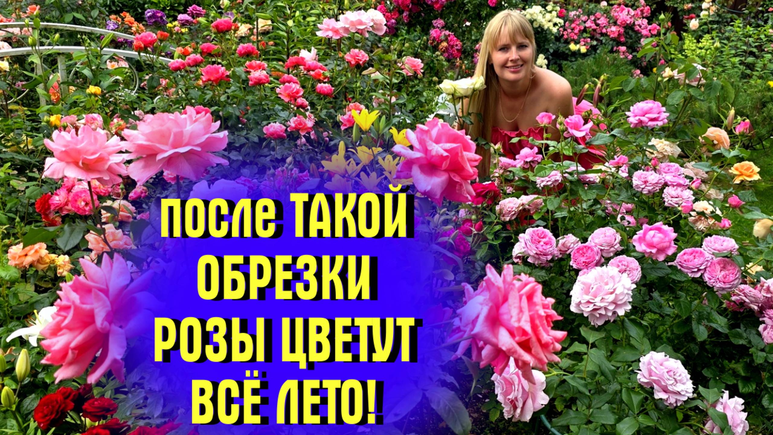 НЕ СОВЕРШАЙТЕ ОШИБОК! Как правильно обрезать розы летом после первой волны цветения. смотреть онлайн