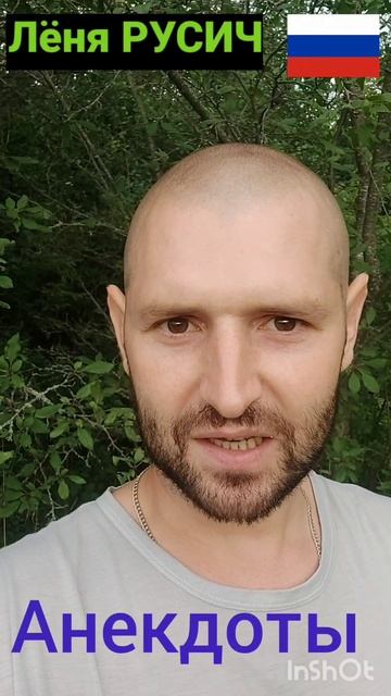 Анекдот Медведь волк и заяц на мед комиссии в военкомате.