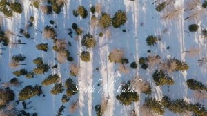 Коран и природа в формате 4К|Красивое чтение Корана|Сура 48|Аль-Фатх| Коран в Формате 4К