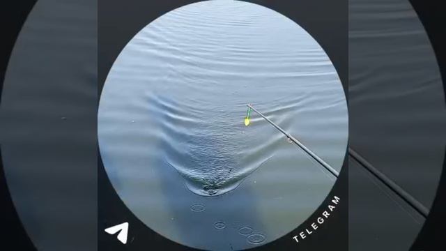 нечто такой