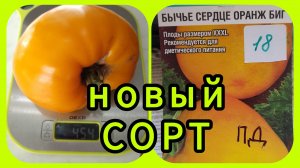 Бычье сердце Оранж БИГ! 🤔