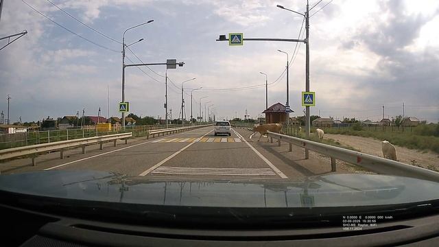 VID-20250804-WA0031 смотреть онлайн
