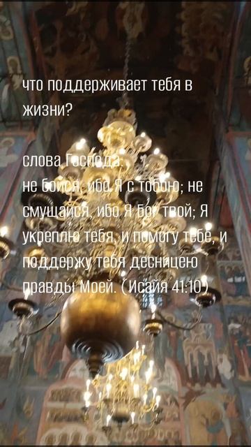 вера#shorts смотреть онлайн
