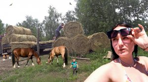 В ТАКИЕ МОМЕНТЫ ЛУЧШЕ МОЛЧАТЬ! МУЖ СЛОМАЛ ВСЕ ЗАБОРЫ.  ПРИВЕЗЛИ ТОННЫ СЕНО. ЖИЗНЬ В ДЕРЕВНЕ