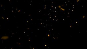 ФУТАЖ - ВИДЕОФОН ДЛЯ МОНТАЖА ВИДЕО