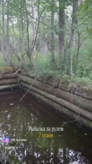 Как думаете, что это?) пишите в комментариях