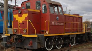 Тепловоз ТГМ