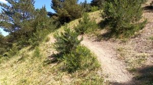 ПУТЕШЕСТВУЕМ ПО ДАГЕСТАНУ. ХРЮГСКИЙ ЛЕС.