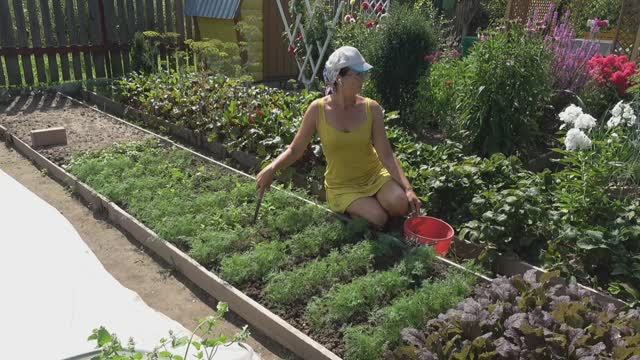 6 соток 1 августа 2025 года. 1 часть. смотреть онлайн