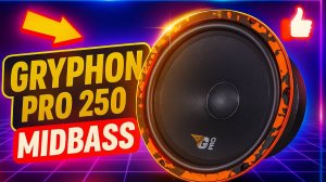 Легенда среднего баса: обзор DL Audio Gryphon Pro 250 MidBass