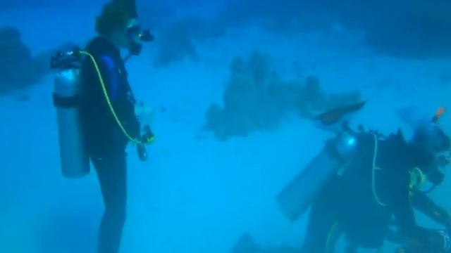 Дайвинг Sharm El-sheikh, Egypt