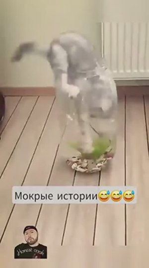 мокрые истории🤣