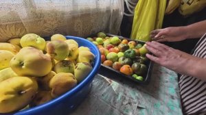 На глазах выросла. Долго мы смеялись Обычная Жизнь в деревне