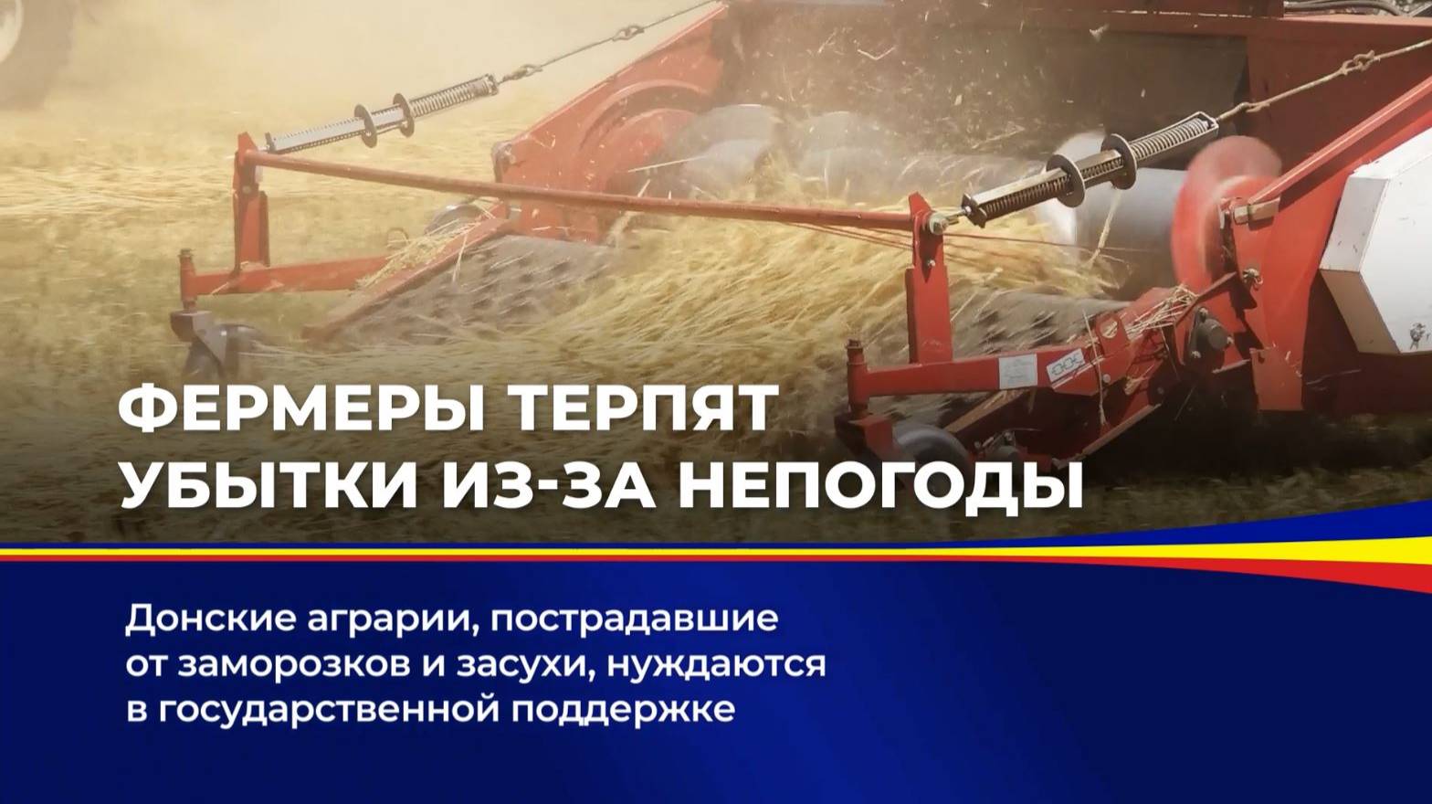 Фермеры терпят убытки из-за непогоды смотреть онлайн