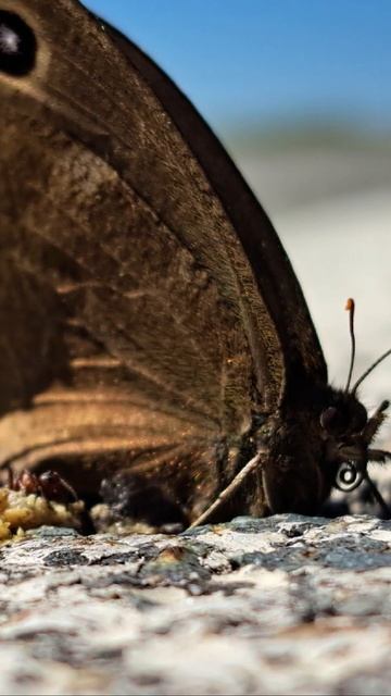 Природа Сибири