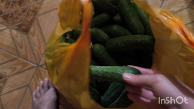 Лёша приготовил хреновину и купил огурцы 🥒 на засолку смотреть онлайн