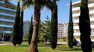 Прогулка по территории Сочи Парк Отеля
