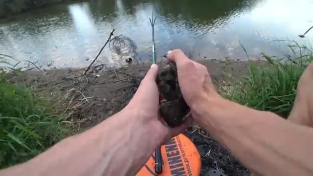 Рыбалка на деревенском пруду смотреть онлайн