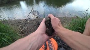 Рыбалка на деревенском пруду