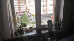 Влог / 25.07-02.08.2025 / День рождения дедушки, трамваи, напольные игры, пинг-понг, прогулки, пицца