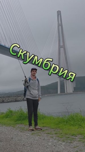 Скумбрия с берега: как ловят во Владивостоке