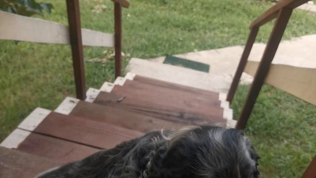 СОЧИ ГОРНОЕ ЛОО ВЕЧЕР 04.08.2025 смотреть онлайн