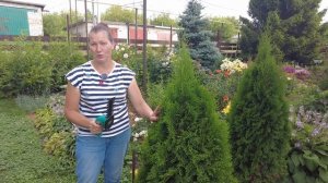 ЛУЧШАЯ АККУМУЛЯТОРНАЯ ПИЛА ДЛЯ ЖЕНСКИХ РУК — НЕЗАМЕНИМЫЙ ПОМОЩНИК В САДУ.