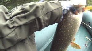 Интересная рыбалка на спиннинг