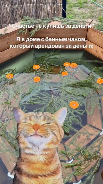 Будем рады видеть вас в уютном пространстве в дали от городской суеты!