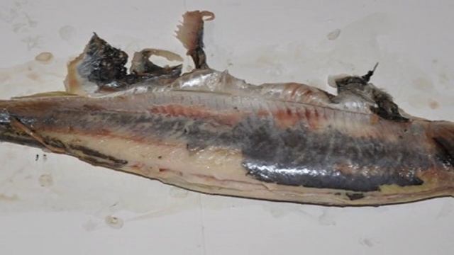 Книга рецептов