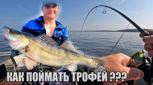 УДАЧНАЯ РЫБАЛКА НА ВОЛГЕ! КАК ПОЙМАТЬ ТРОФЕЙ? Ловля судака на спиннинг. Летняя рыбалка 2025