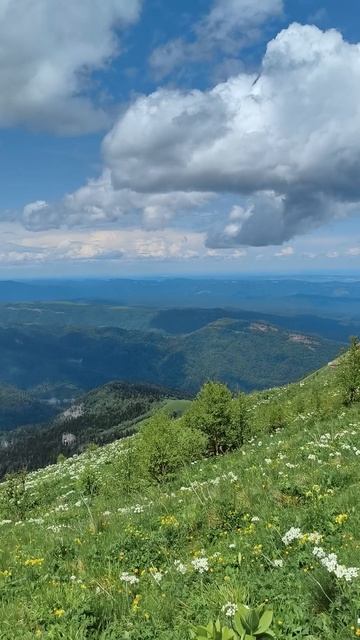Краснодарский край.mp4 смотреть онлайн