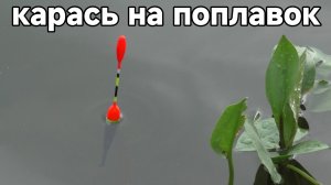 Рыбалка из детства. Ловля карася на поплавочную удочку 2025