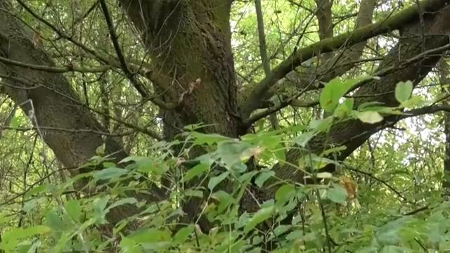 Моя рыбалка смотреть онлайн