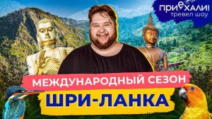 Шри-Ланка | Поезд в джунглях, на пляже с черепахами, поля цейлонского чая | Приехали!