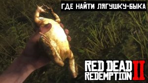 Где найти Лягушка-Бык в Red Dead Redemption 2
