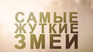 Самые жуткие змеи «Африка» | NAT Geo