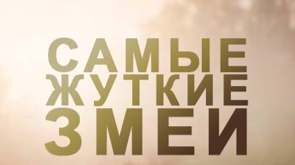 Самые жуткие змеи «Африка» | NAT Geo