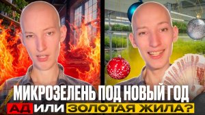 📈Сколько можно заработать на микрозелени перед Новым годом?