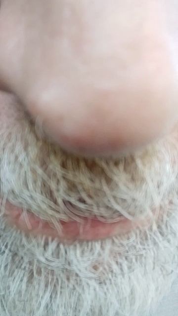 Деградация потомков.mp4